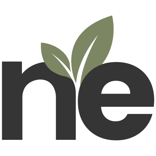 Nueva Esperanza – Iglesia de Pacto